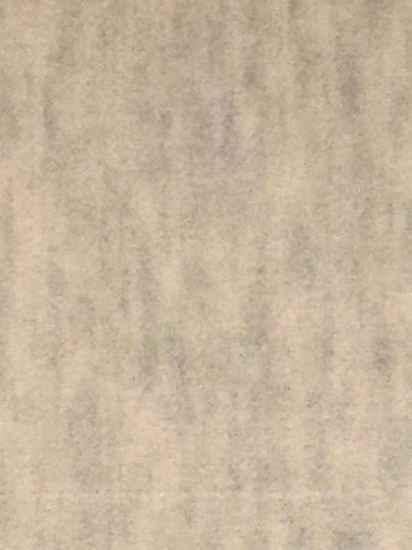 0009 AVORIO