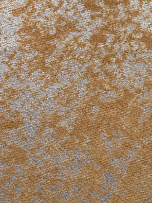 0031 CAMMELLO