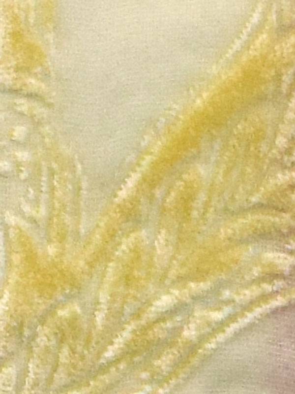 0003 POLLINE