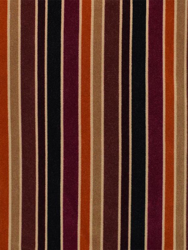 0004 CAMMELLO