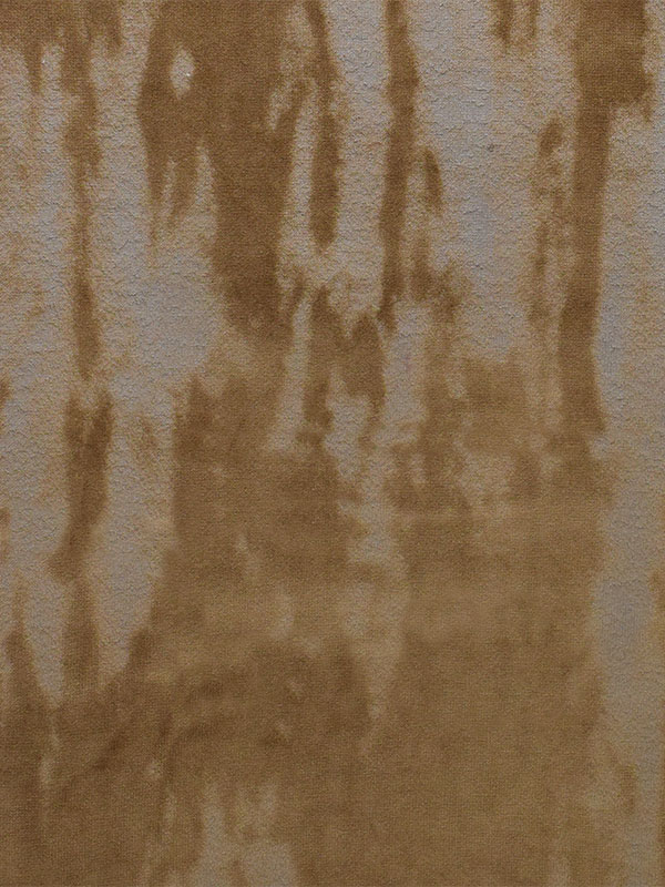 0025 CAMMELLO