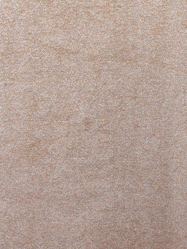 0035 CAMMELLO+ARGENTO