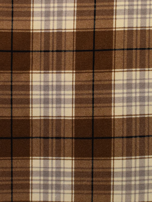 0033 CAMMELLO