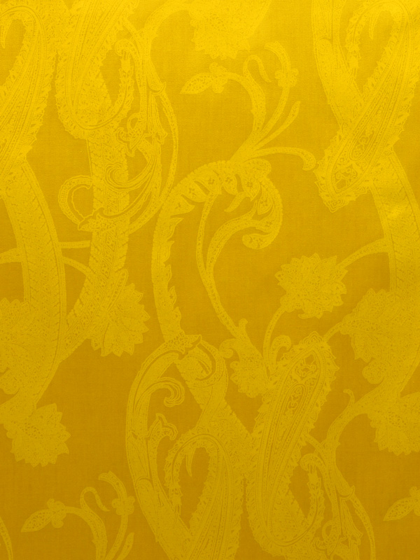 0027 MIMOSA