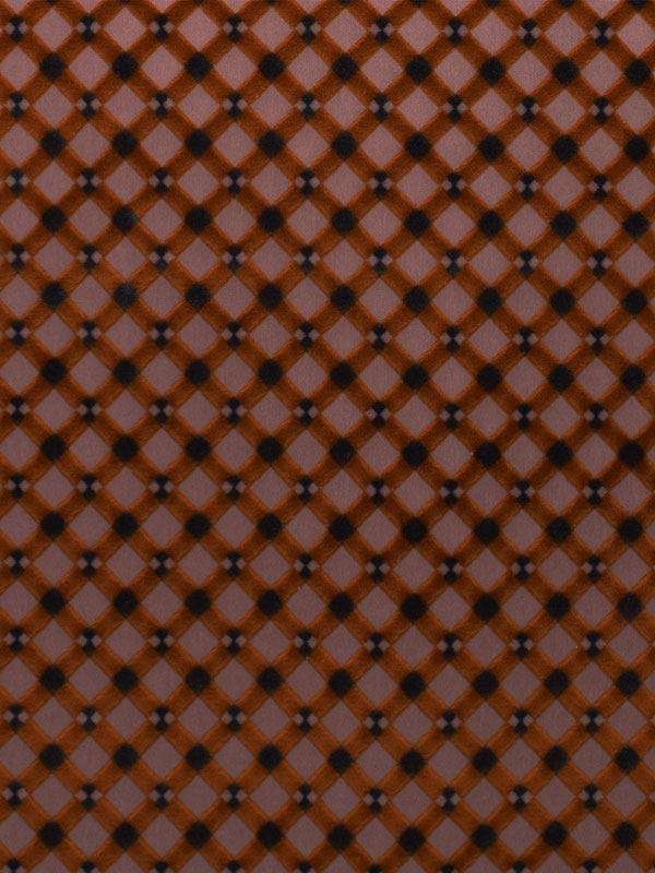 0019 CAMMELLO