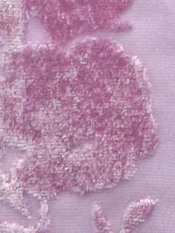 0004 PEONIA 