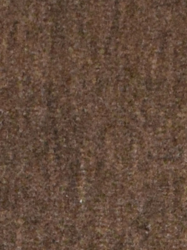 0004 CASTORO