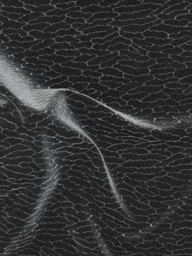 POLYESTER VELVET - H87 GB1 NF