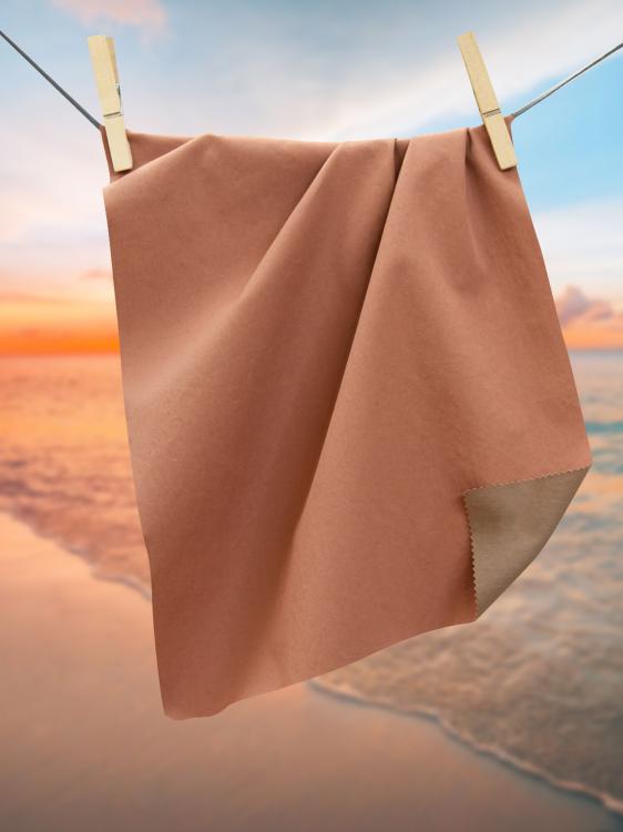 AP33 - SALMONE+TORTORA