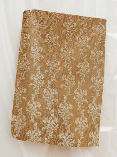 0003 CAMMELLO+AVORIO