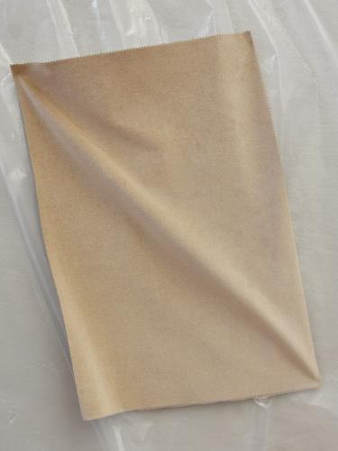 0287 CAMMELLO