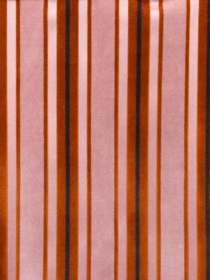 0055 CAMMELLO