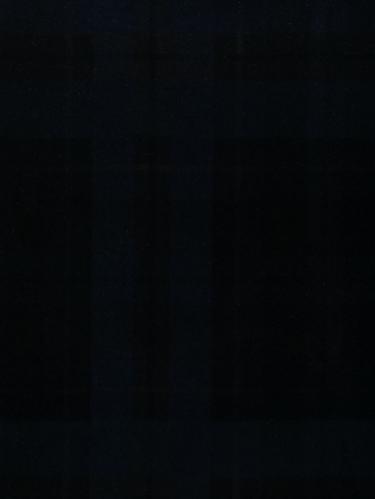 0041 BLU