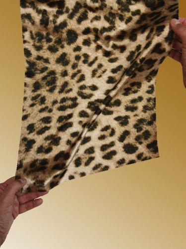 J011 CAMMELLO