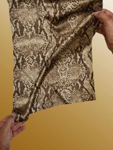 J025 CAMMELLO