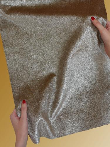 0034 CAMMELLO + ARGENTO