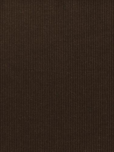 0008 CAMMELLO