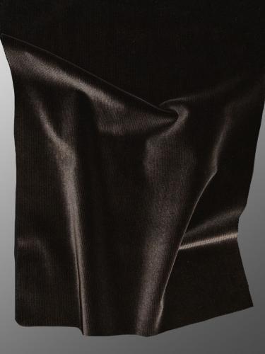 0069 CAMMELLO