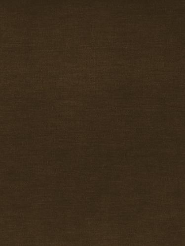 0008 CAMMELLO