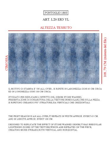RAPPORTO DI STAMPA