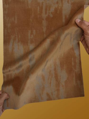 0034 CAMMELLO + ARGENTO