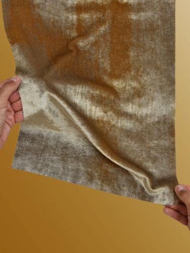 0022 CAMMELLO+ARGENTO