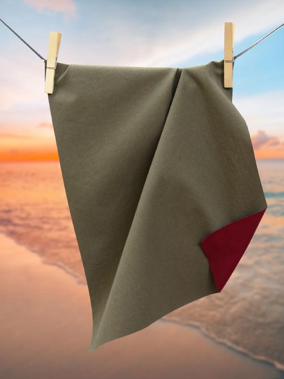 AJ36 - SALVIA+AMARENA