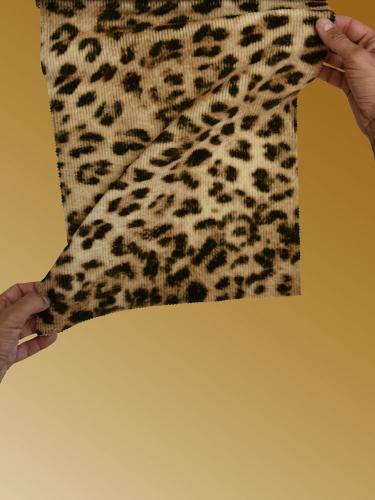 J011 CAMMELLO