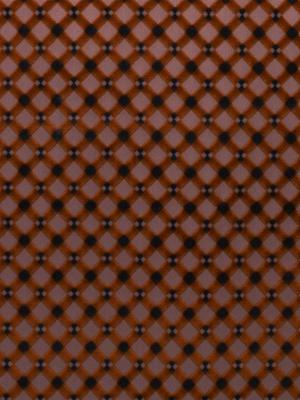 0019 CAMMELLO