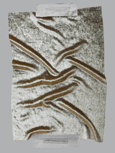 0045 CAMMELLO+ ARGENTO