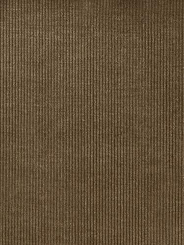 0008 CAMMELLO