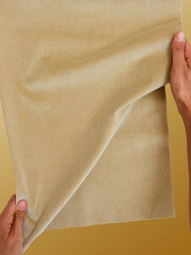 0287 CAMMELLO