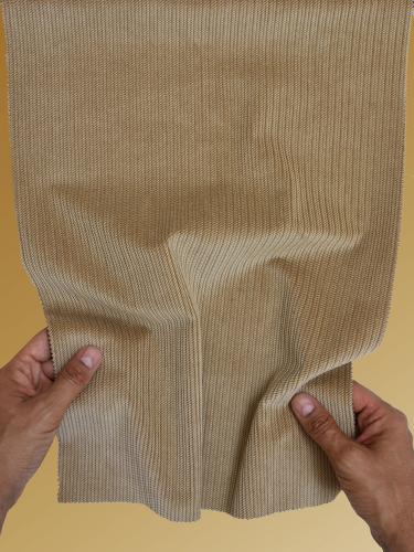 0039 CAMMELLO+AVORIO