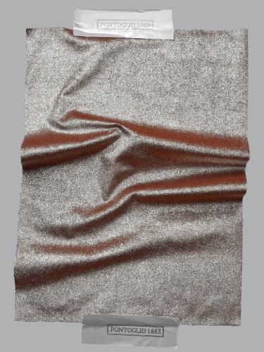 0034 CAMMELLO+ ARGENTO