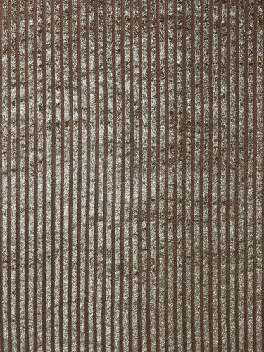 0045 CAMMELLO+ORO