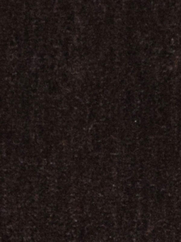 0005 VISONE