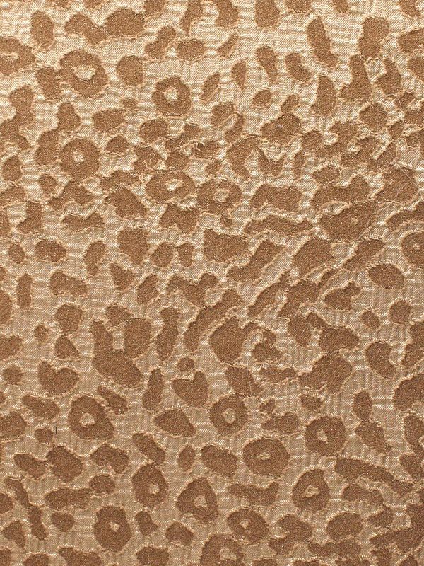 0033 CAMMELLO+ORO