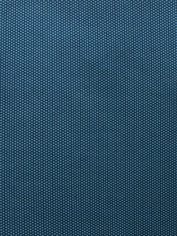J001 PAVONE 