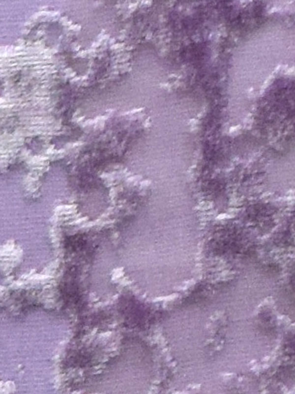 0005 GLICINE