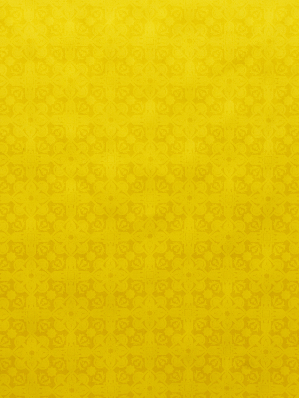 0027 MIMOSA