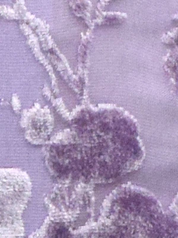 0005 GLICINE