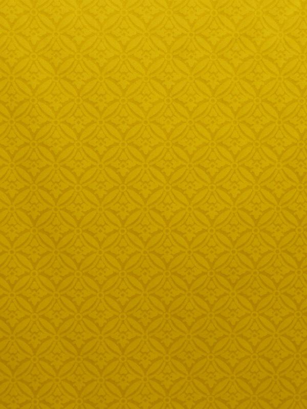 0027 MIMOSA