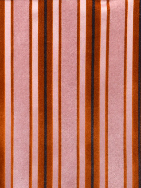 0055 CAMMELLO