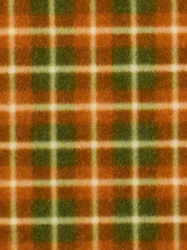 J049 CAROTA
