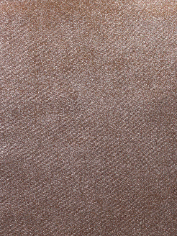 0034 CAMMELLO+ARGENTO