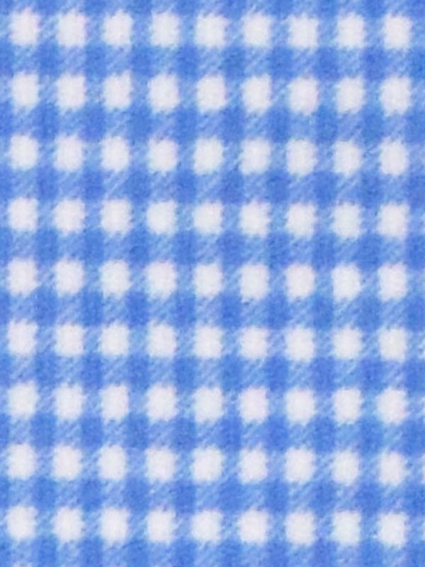 0090 CELESTE