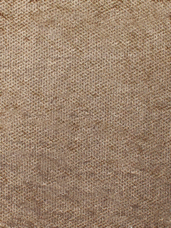 0044 CAMMELLO+ORO