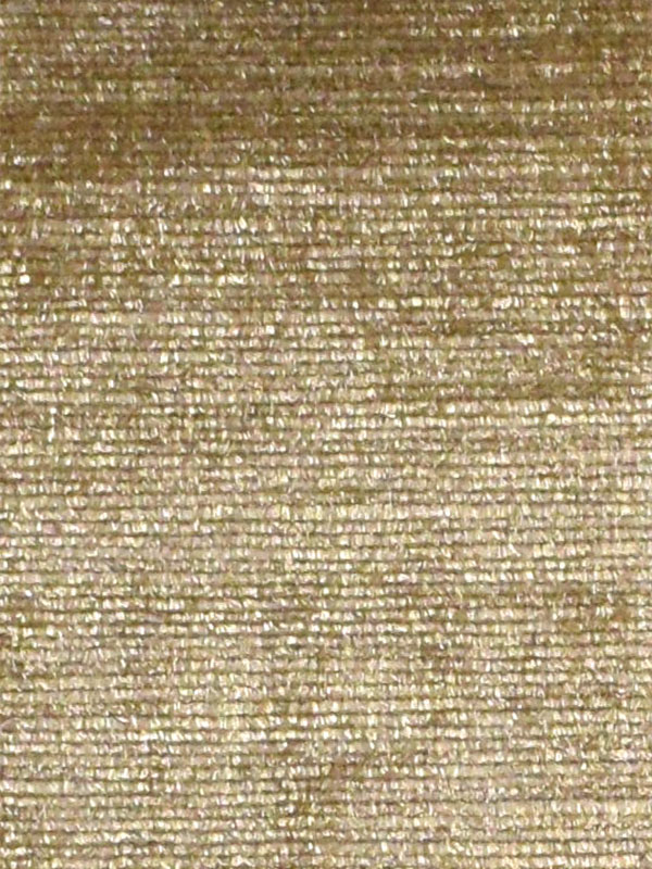 0031 CHAMPAGNE 