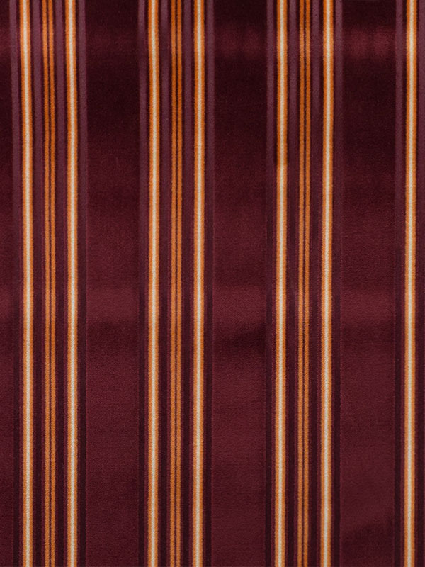 0009 CAROTA