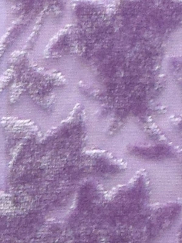 0005 GLICINE